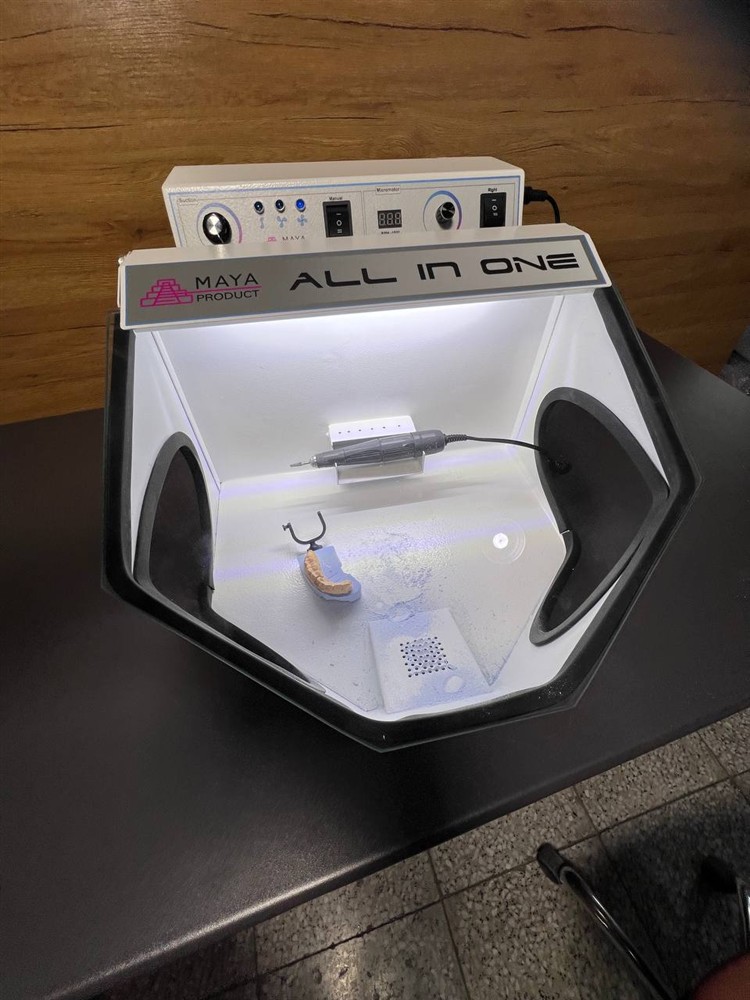 آل این وان مایا